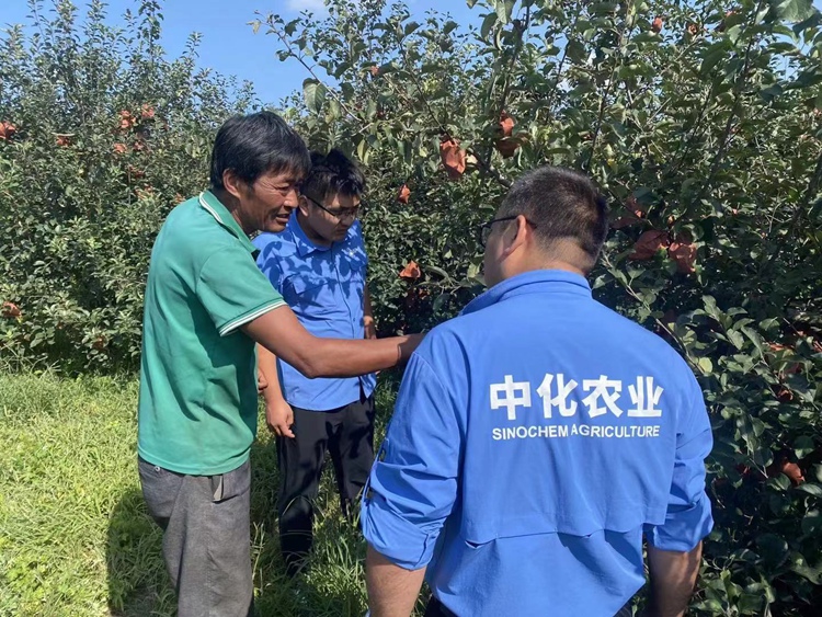 bevictor伟德官网-韦德官方网站