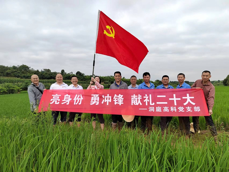 dt2 bevictor伟德官网-韦德官方网站