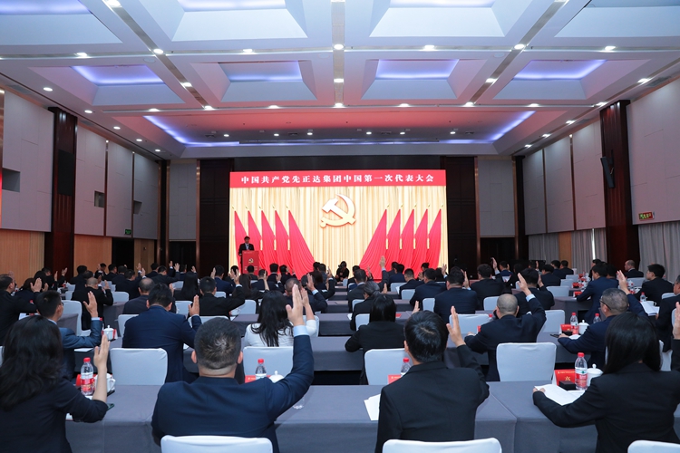 党建栏目党建动态-党代会2