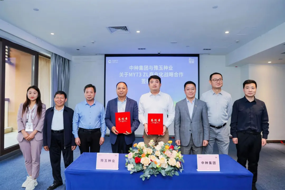 xingzhuang005 bevictor伟德官网-韦德官方网站