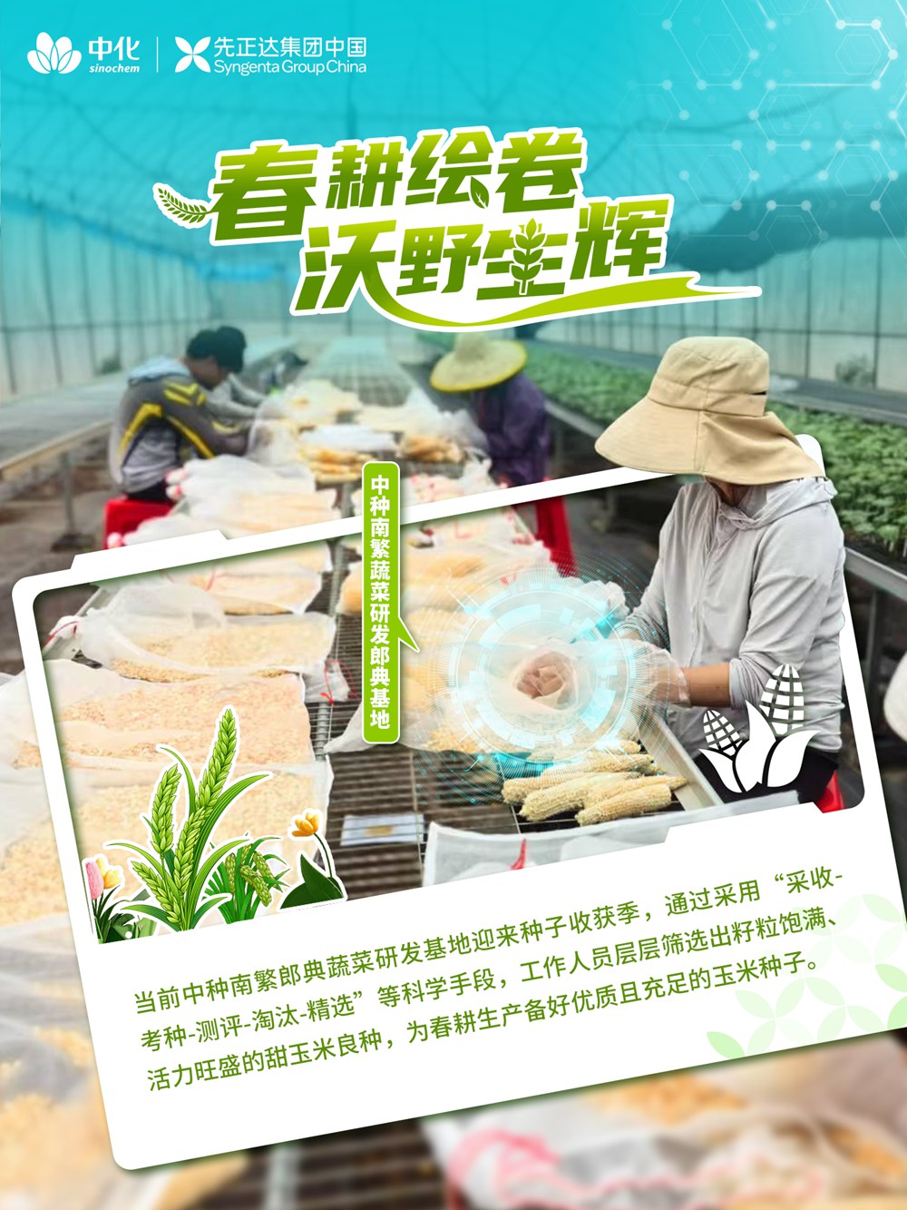 5 bevictor伟德官网-韦德官方网站