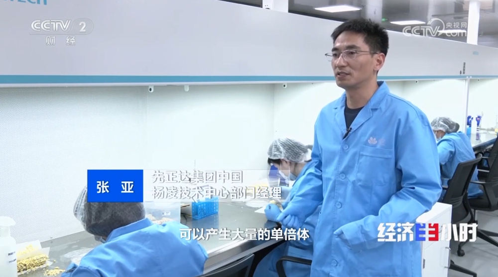 科学家2 科学家2