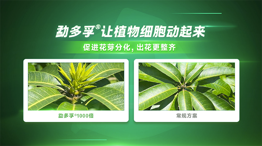 【官微SGC】春耕新品终稿2086 bevictor伟德官网-韦德官方网站