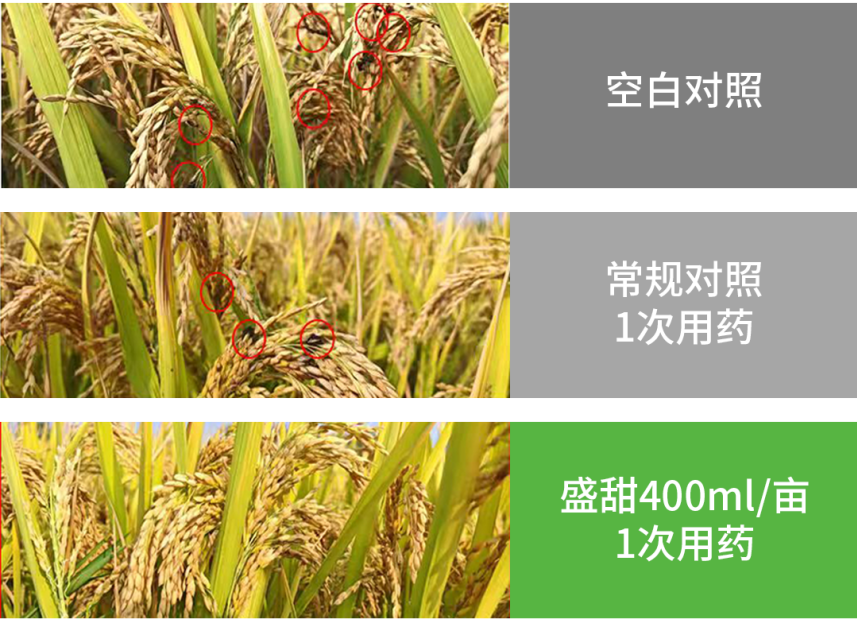 【官微SGC】春耕新品终稿907 bevictor伟德官网-韦德官方网站