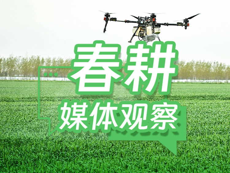 迎“大考”闯“三关”，筑牢幼麦稳产防线
